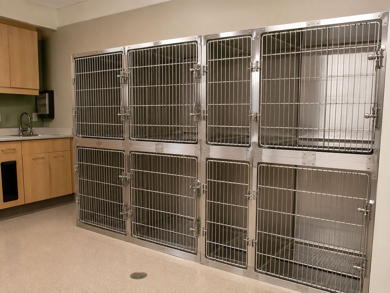 Stainless Steel: Cage Banks, Bowls, Tables & Why Quats Love It