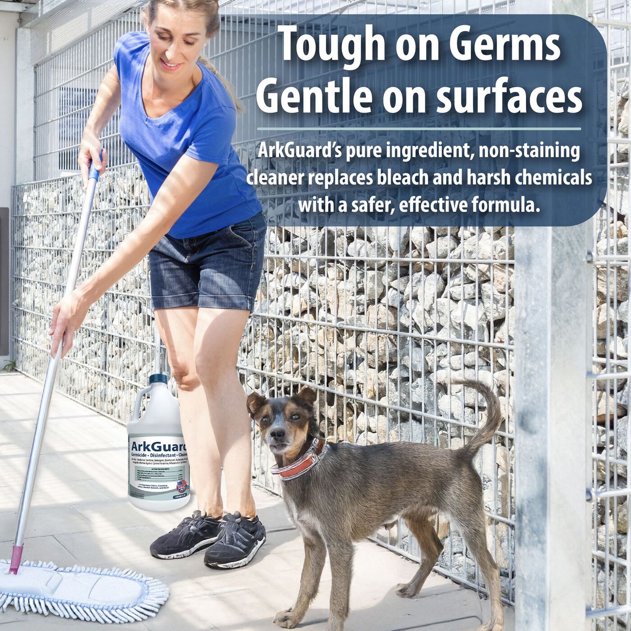 The Kennel Cleaning Routine: Daily, Weekly & Turnover Protocols