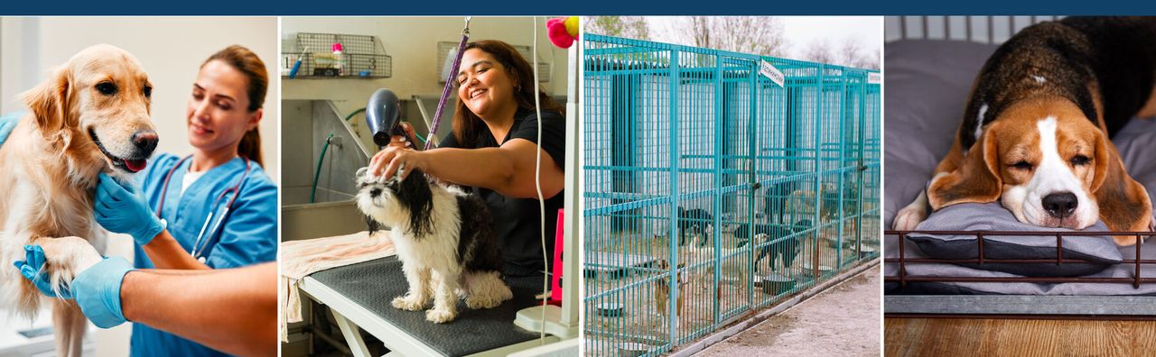 ArkGuard in use at veterinary clinics, grooming salons, kennels, and homes
