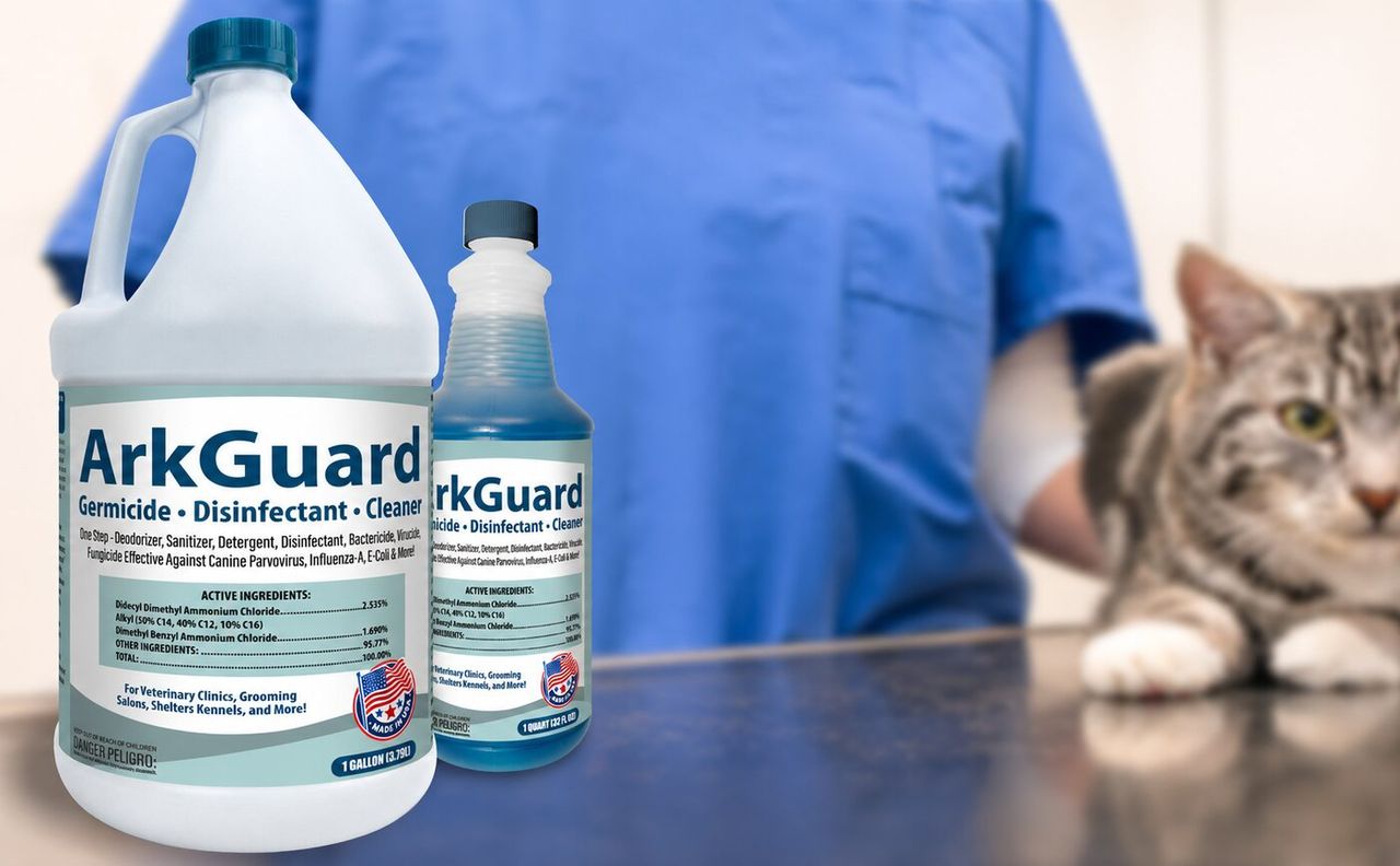 Catteries & Cat Rooms: Disinfection Without the Stress Spiral